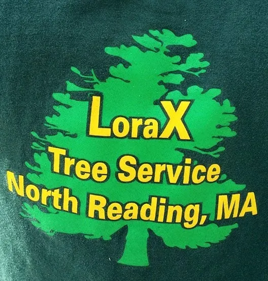Professional lawn mowing service in North Reading, MA - Lorax Tree Service