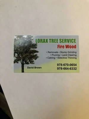 Lorax Tree Service