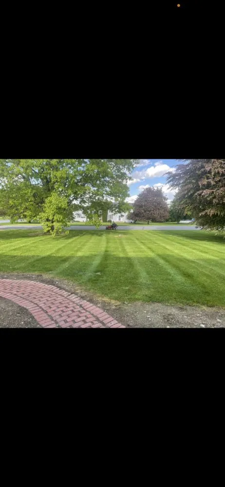 Expert yard cleanup service in Allentown, PA - Lord of the Land