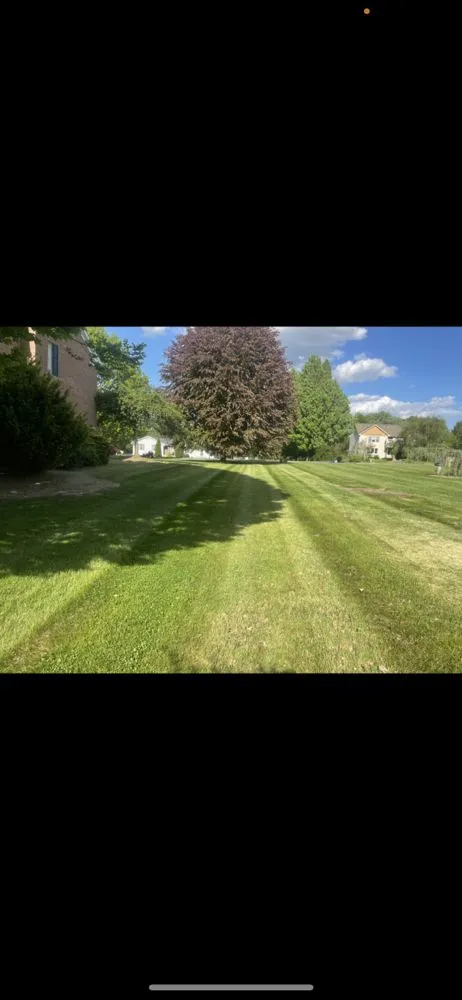 Reliable lawn mowing service in Allentown, PA by Lord of the Land