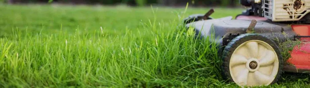 Top-rated landscape design in Cedar Park, TX - Lords Earth Lawn Care