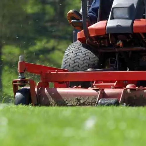 Expert landscaping services in Cedar Park, TX by Lords Earth Lawn Care