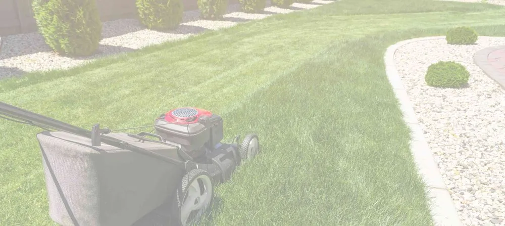 Professional garden landscaping in Cedar Park, TX - Lords Earth Lawn Care