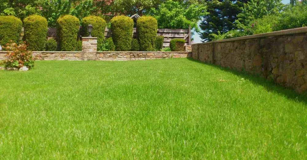 Trusted residential landscaping in Cedar Park, TX by Lords Earth Lawn Care
