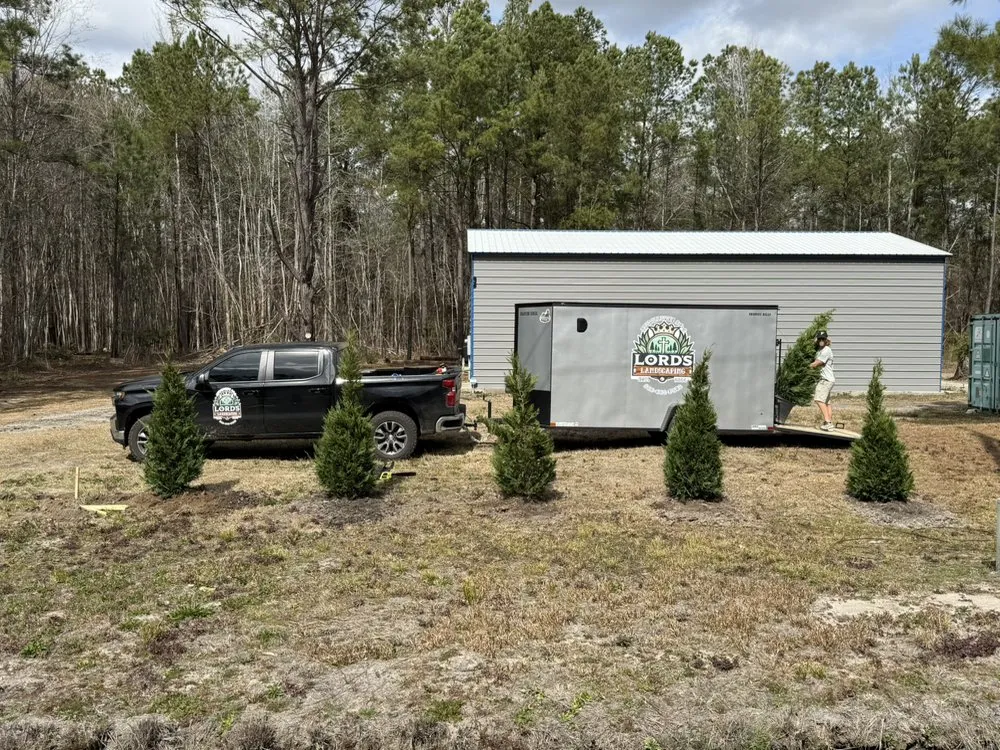 Reliable lawn care service in Galivants Ferry, SC - Lords Landscaping