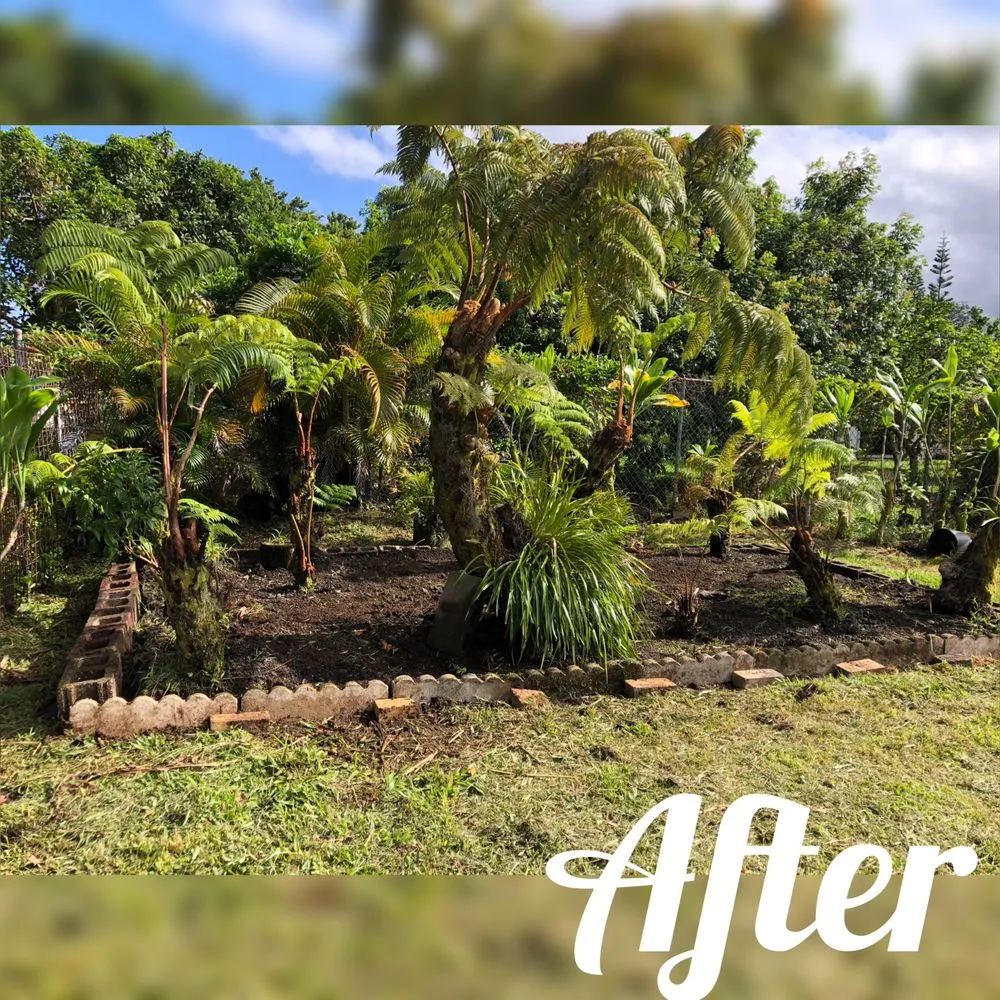 Affordable lawn care service for homes across Hilo, HI - Lord’s landscaping