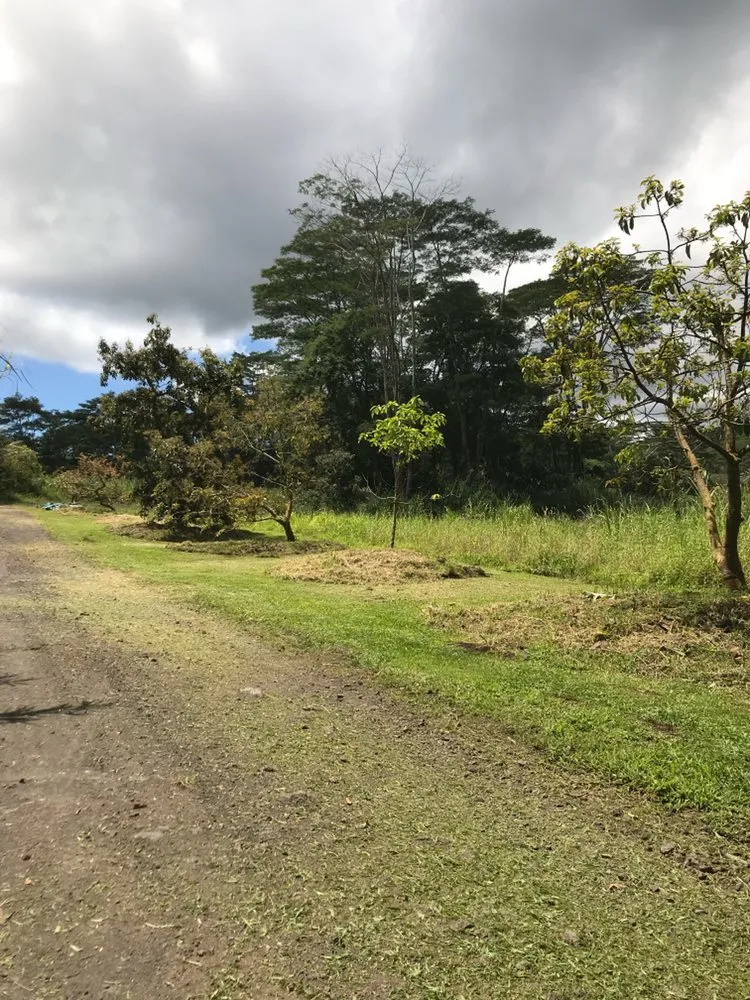 Professional lawn mowing service in Hilo, HI - Lord’s landscaping