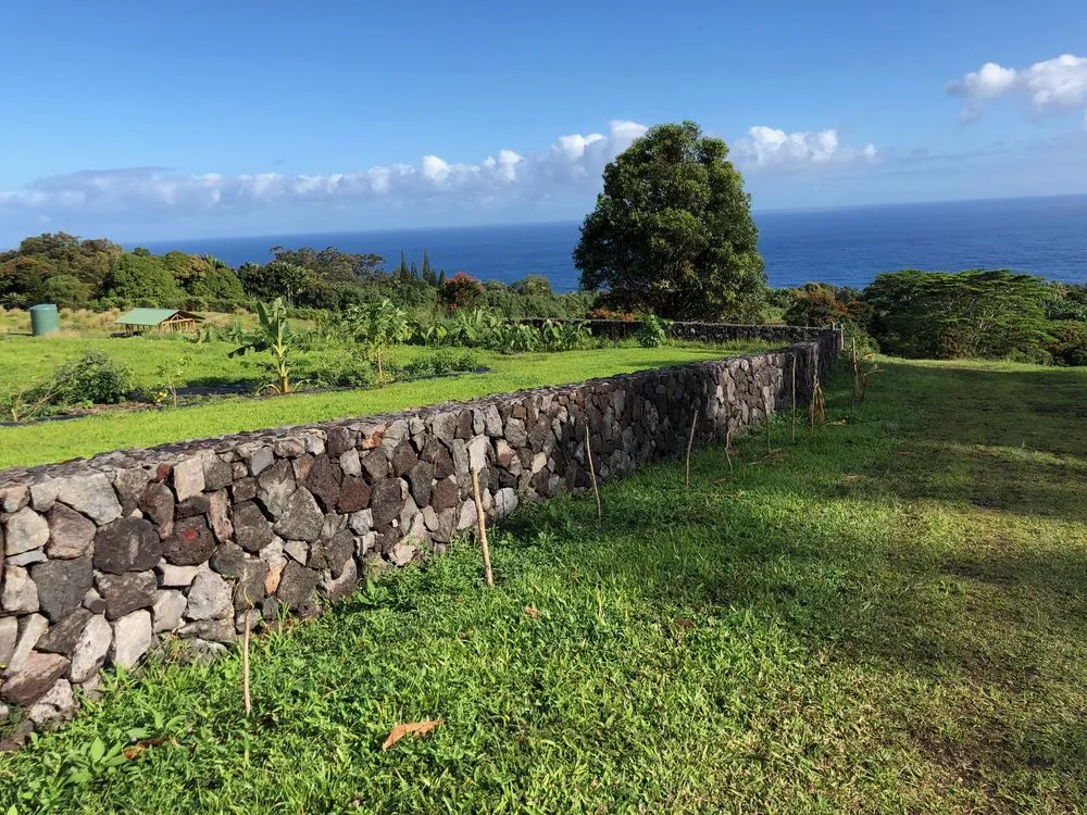 Reliable outdoor landscaping in Hilo, HI - Lord’s landscaping