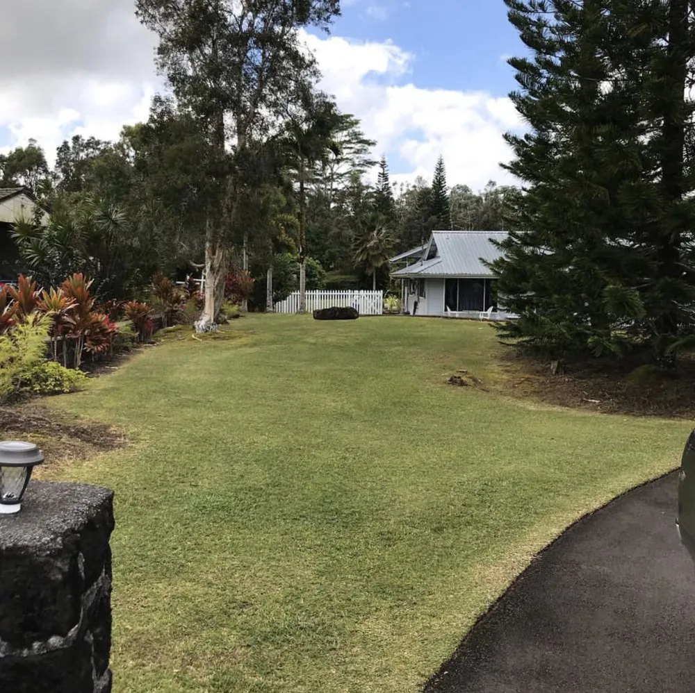 Professional yard cleanup service in Hilo, HI - Lord’s landscaping