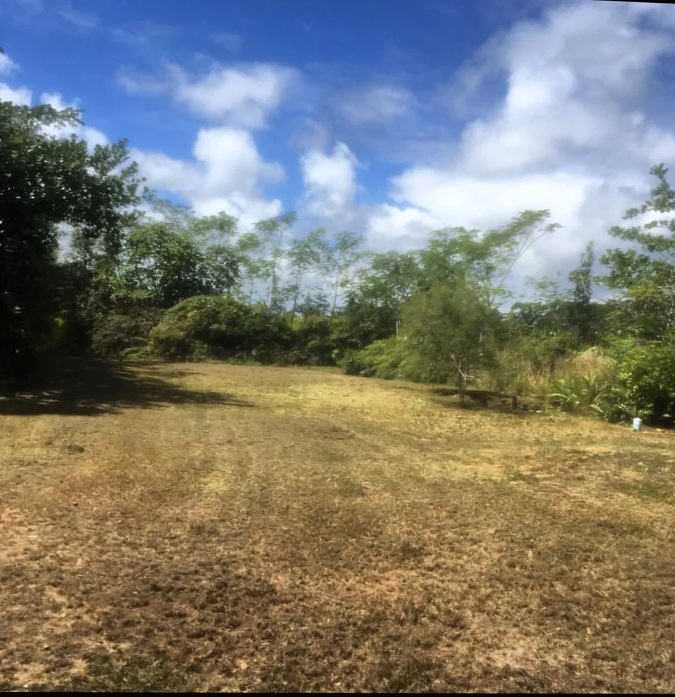 Top-rated lawn care service in Hilo, HI - Lord’s landscaping