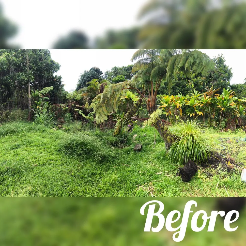 Top-rated residential landscaping experts serving Hilo, HI - Lord’s landscaping