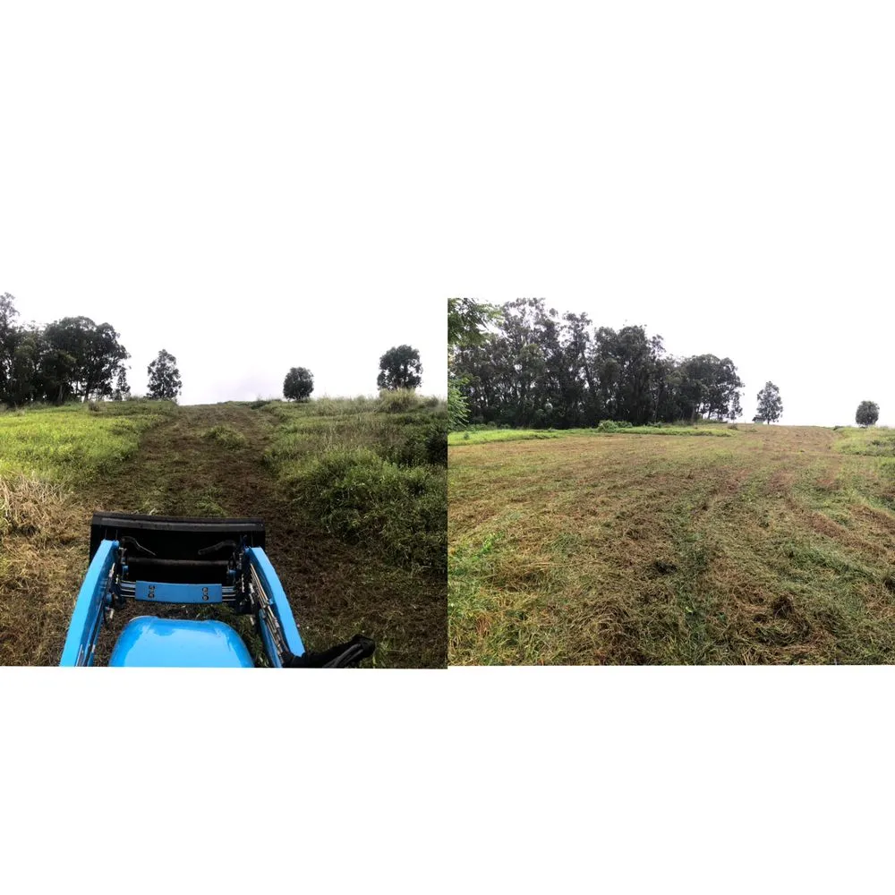 Professional landscaping services in Hilo, HI by Lord’s landscaping