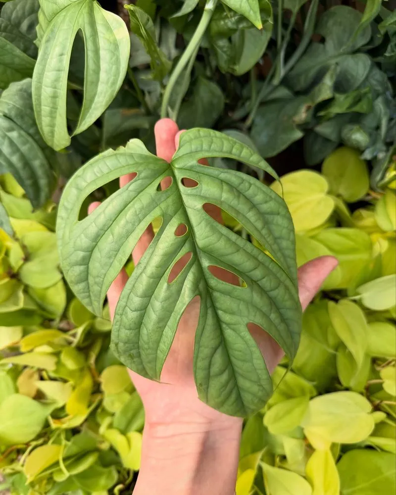 Reliable yard maintenance experts serving Millville, DE - Lord's Landscaping