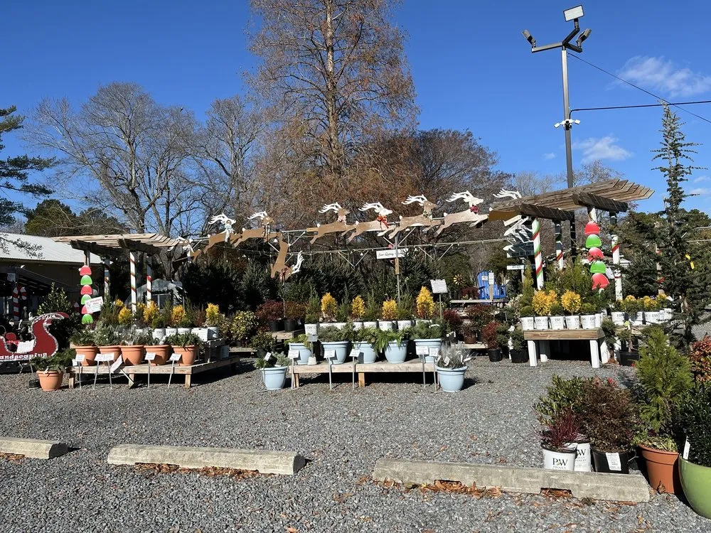 Trusted yard cleanup service in Millville, DE by Lord's Landscaping