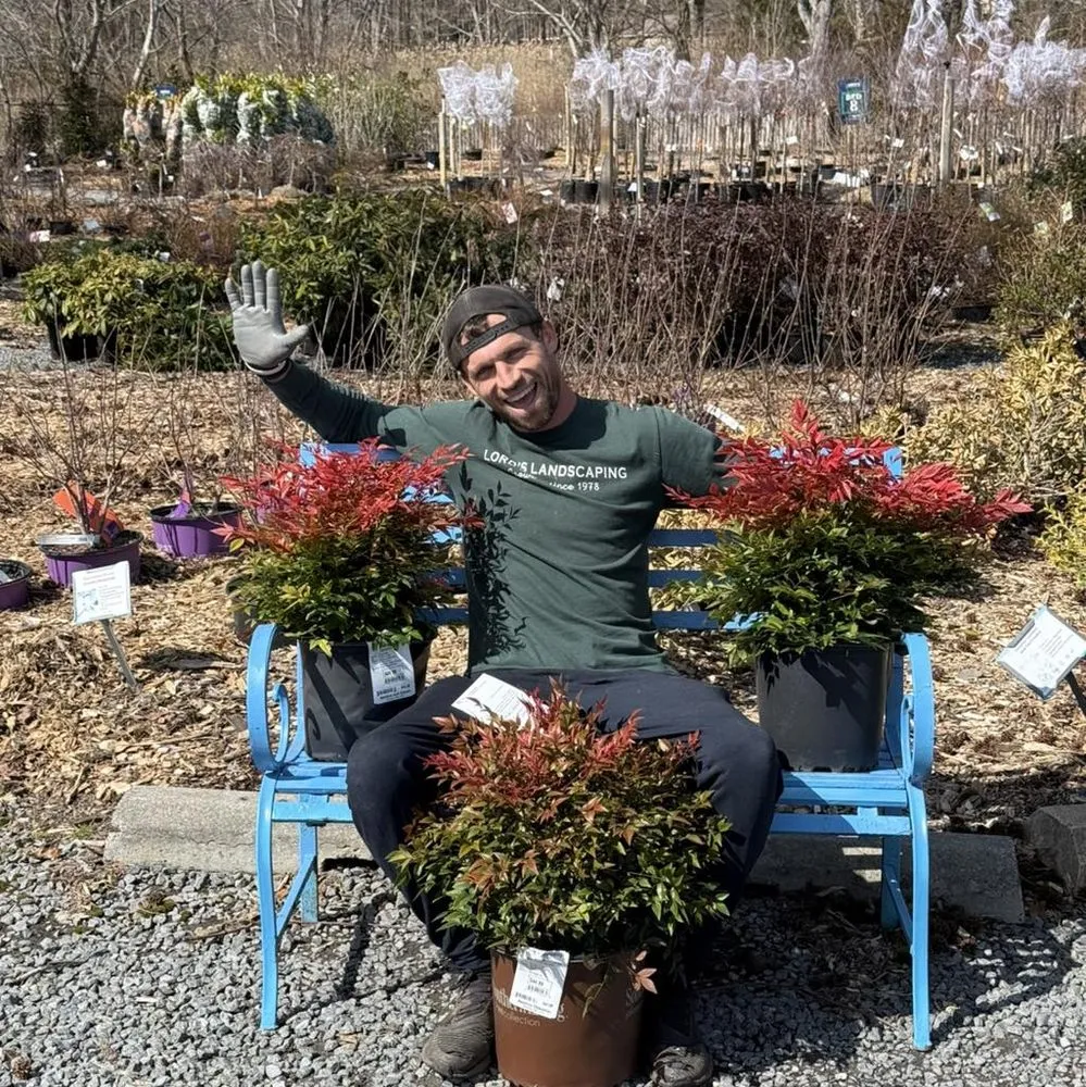 Top-rated landscaping services experts serving Millville, DE - Lord's Landscaping