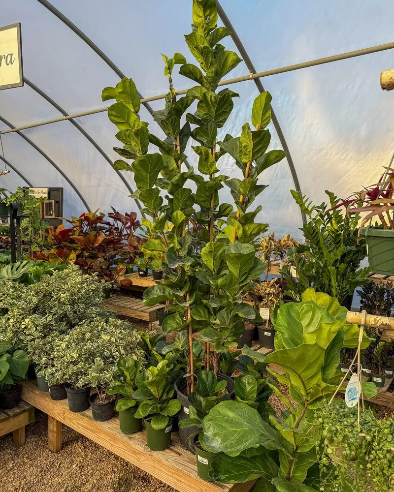 Affordable lawn care service for homes in Millville, DE by Lord's Landscaping