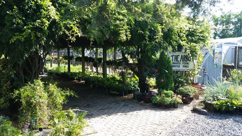 Affordable outdoor landscaping with custom design across Millville, DE - Lord's Landscaping