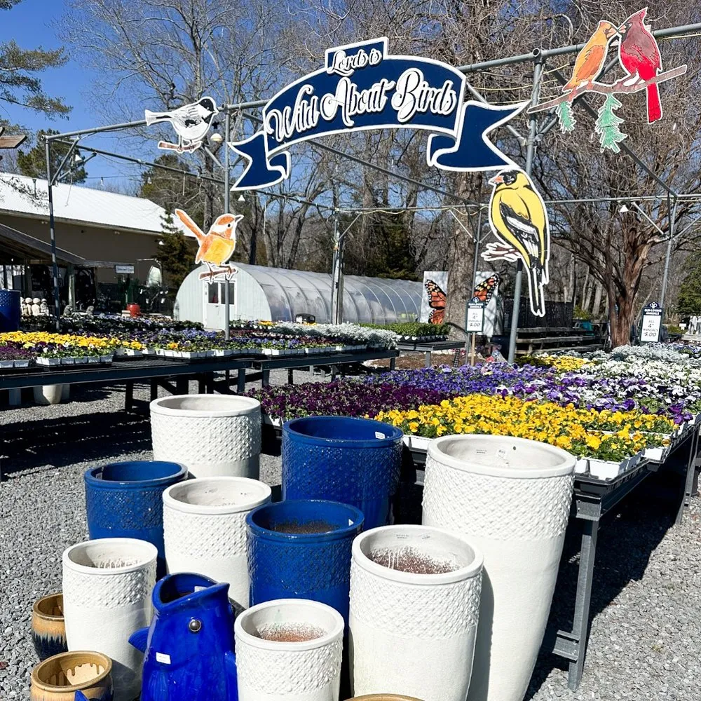 Reliable yard cleanup service for homes in Millville, DE by Lord's Landscaping