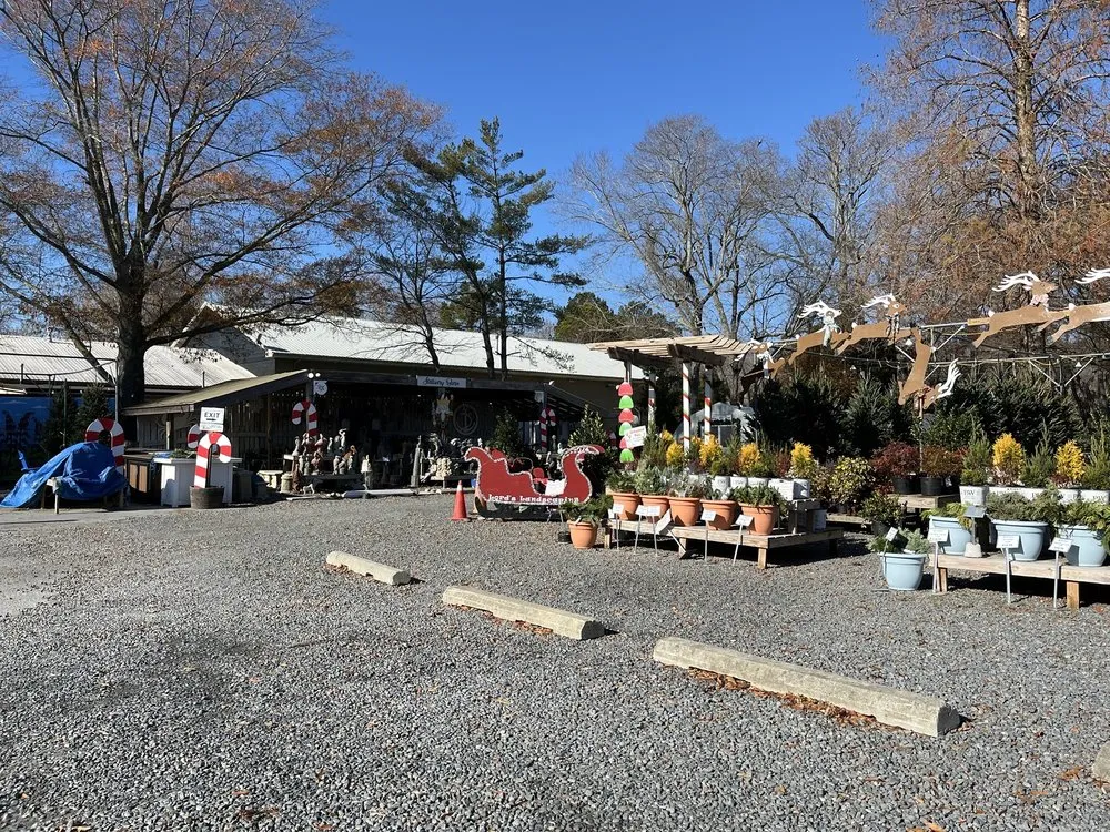 Affordable yard cleanup service experts serving Millville, DE - Lord's Landscaping