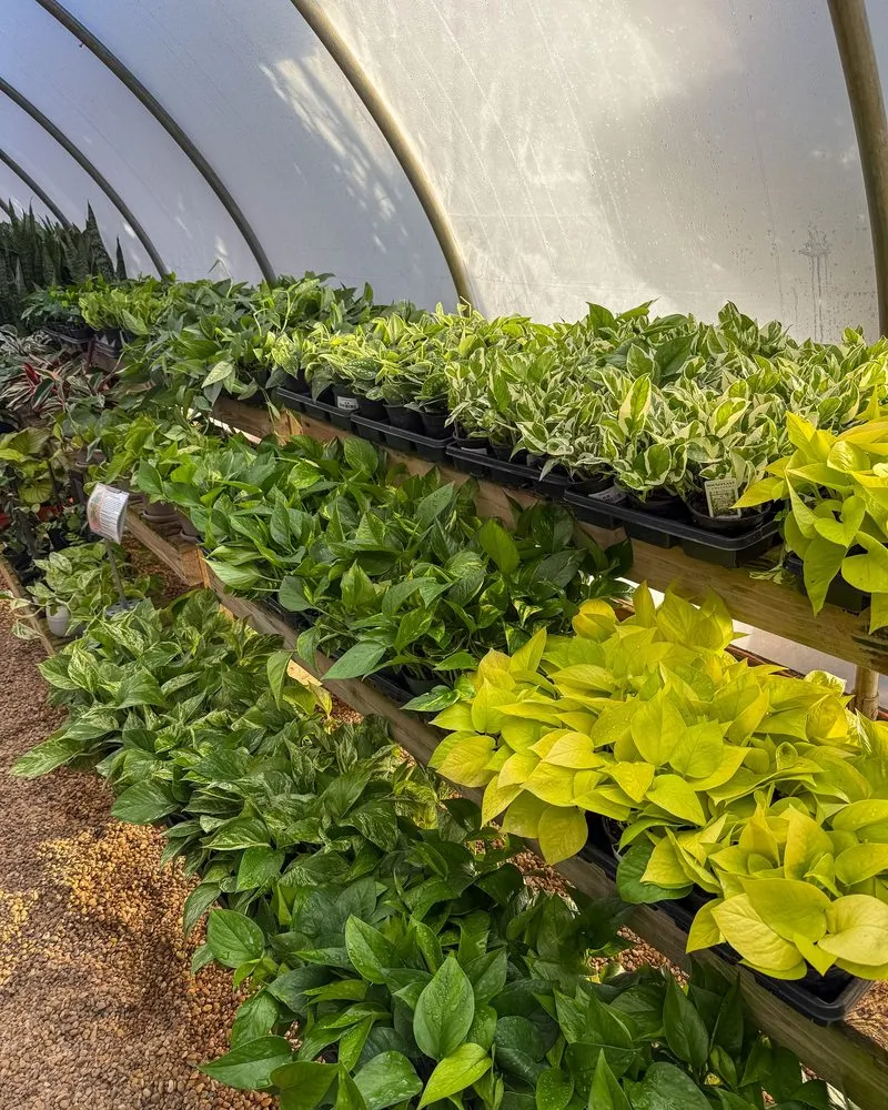 Custom landscape installation in Millville, DE by Lord's Landscaping