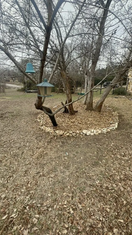 Reliable yard maintenance for homes in Leander, TX by Lords Lawn & Landscape