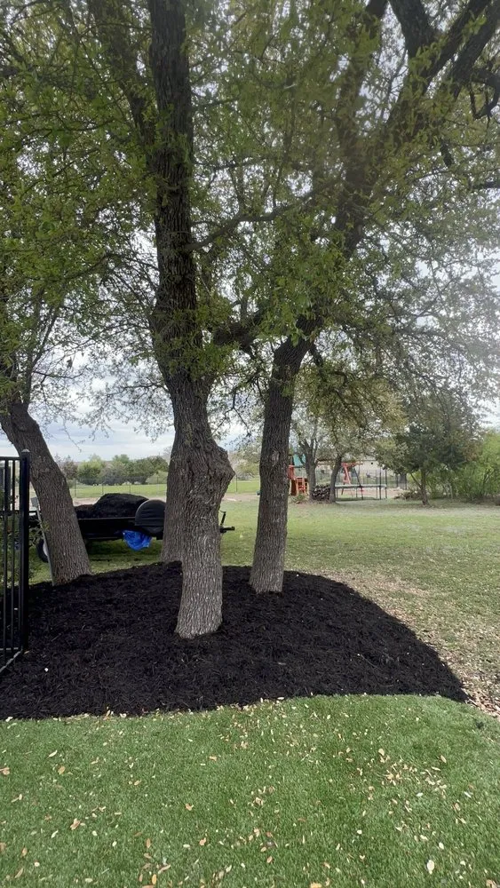 Trusted lawn care service in Leander, TX by Lords Lawn & Landscape