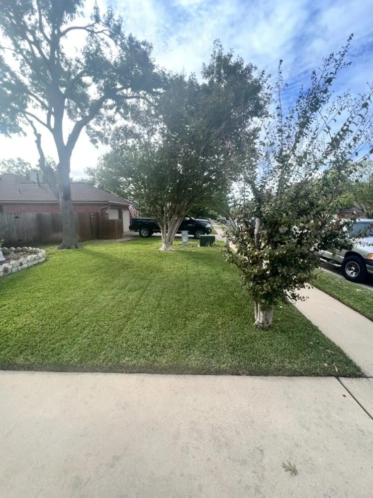 Expert residential landscaping in Leander, TX by Lords Lawn & Landscape