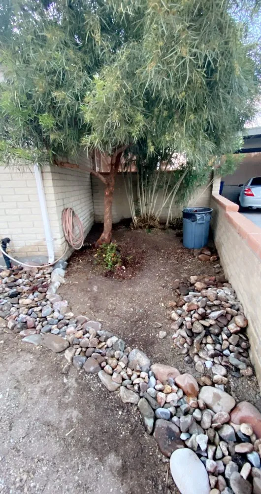 Expert yard maintenance for outdoor upgrades across Tucson, AZ - Lordz