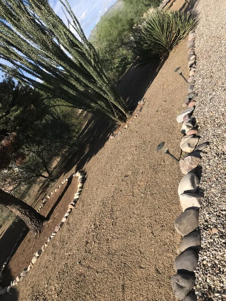 Professional yard cleanup service experts serving Tucson, AZ - Lordz