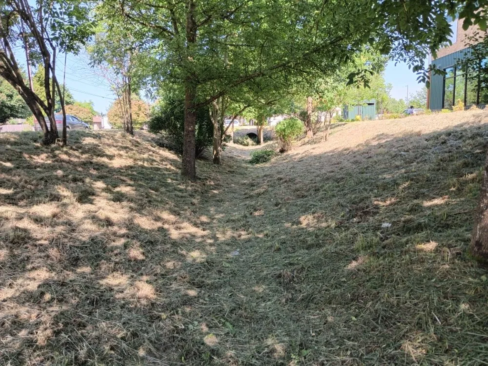 Professional landscaping services for homes across Eugene, OR - Loren Riddle