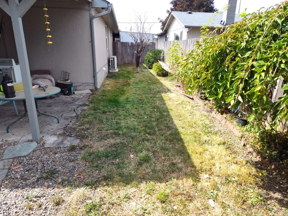 Local yard maintenance in Eugene, OR - Loren Riddle