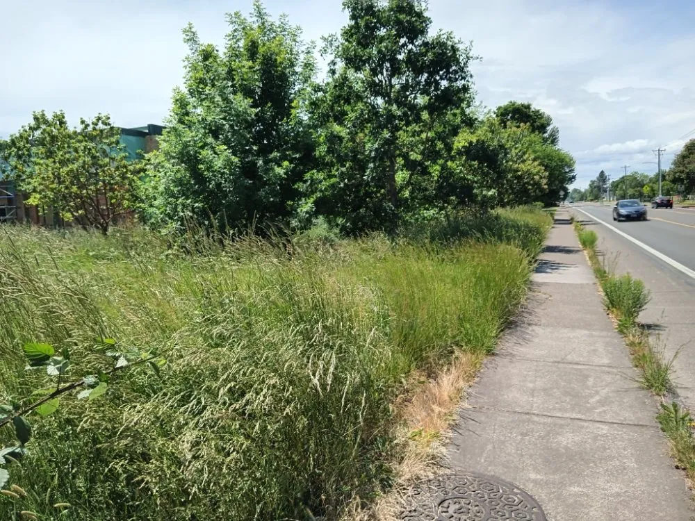 Trusted landscape installation in Eugene, OR - Loren Riddle