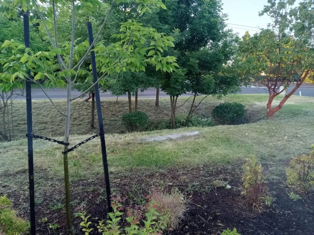 Local lawn care service in Eugene, OR by Loren Riddle