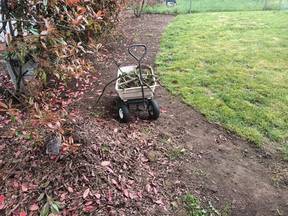 Local yard cleanup service for residential properties in Eugene, OR by Loren Riddle