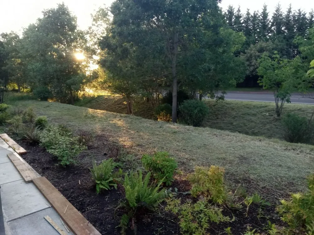 Custom lawn mowing service in Eugene, OR - Loren Riddle