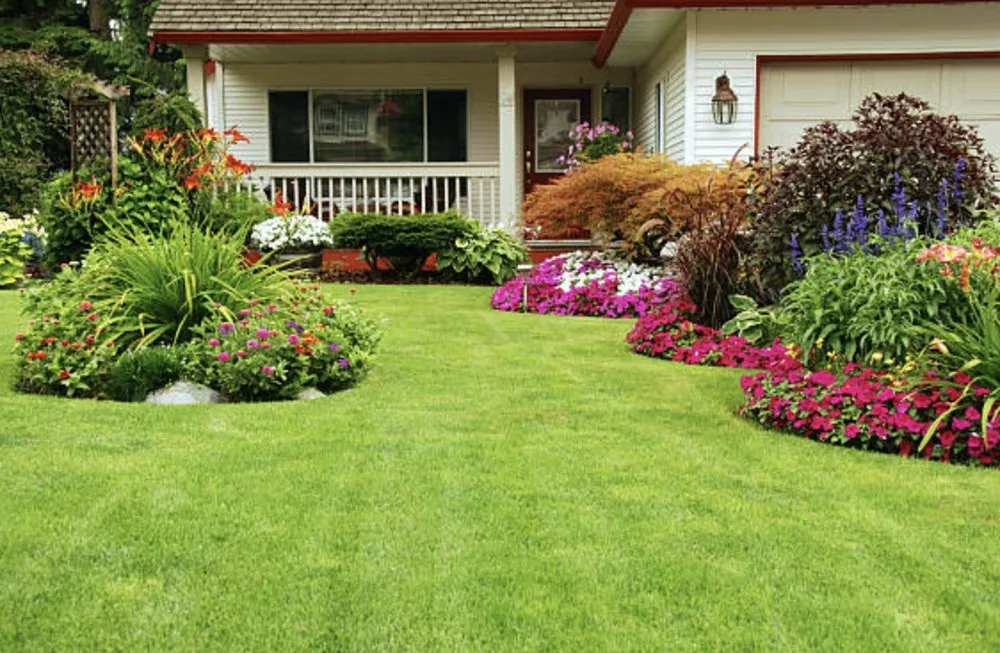 Trusted lawn care service for residential properties across Zachary, LA - Lorena Love