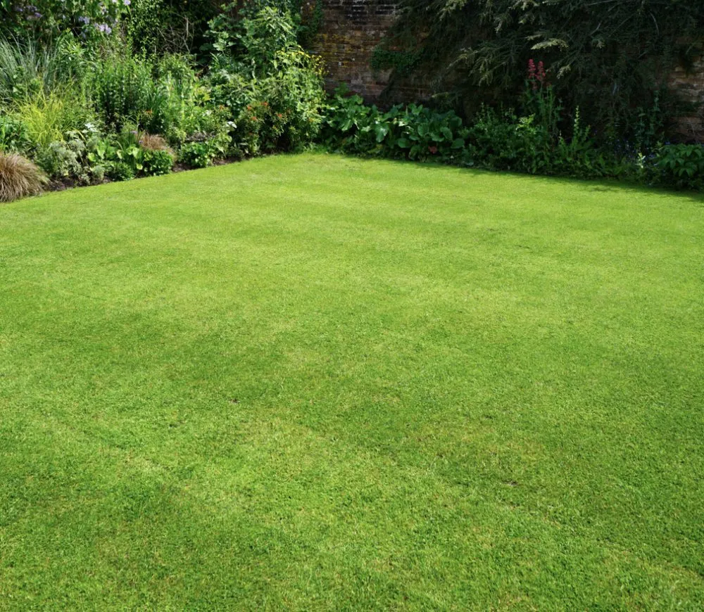 Affordable yard cleanup service experts serving Zachary, LA - Lorena Love