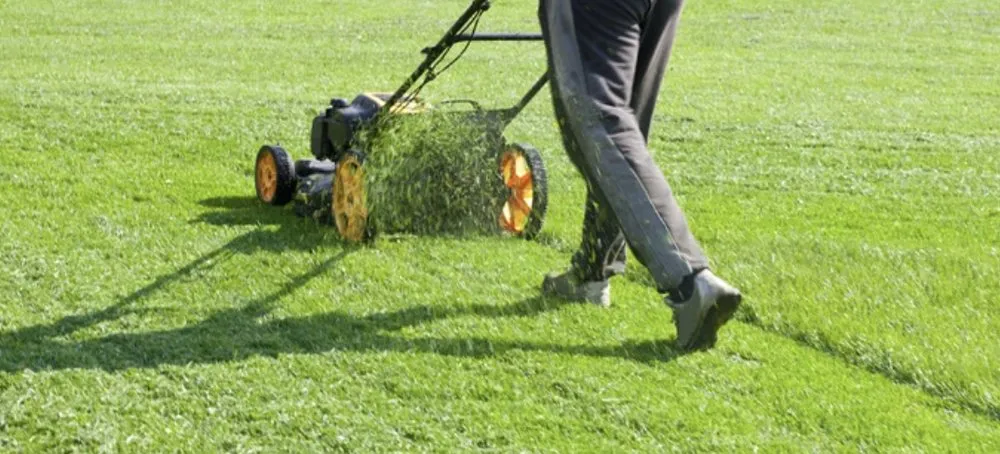 Expert residential landscaping in Zachary, LA - Lorena Love