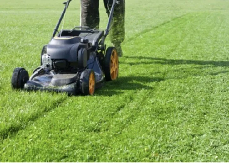 Custom residential landscaping near you in Zachary, LA by Lorena Love