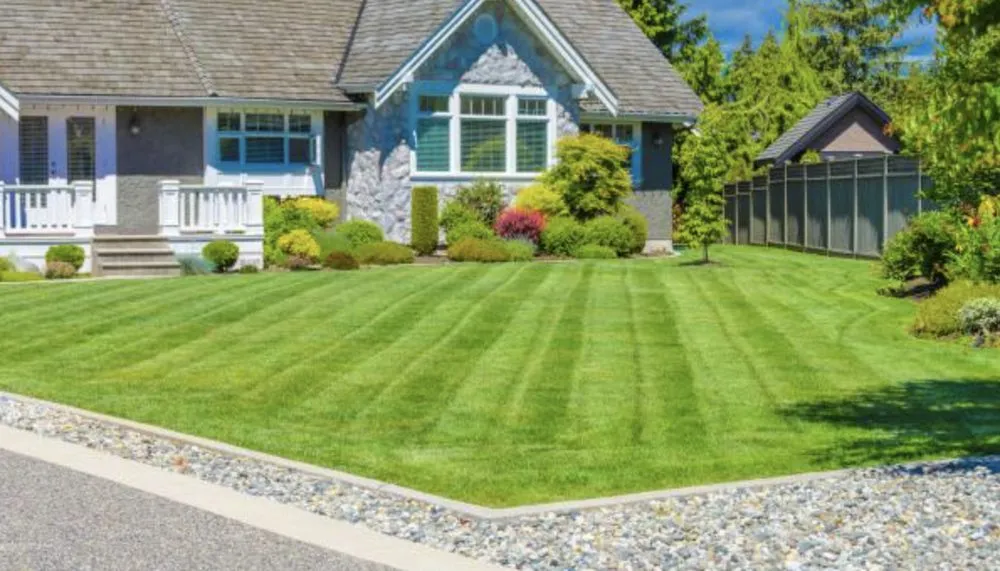 Top-rated landscape installation for beautiful yards across Zachary, LA - Lorena Love