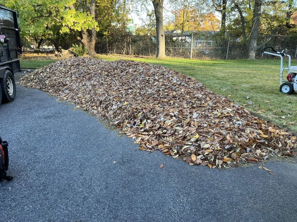 Trusted lawn mowing service in West New York, NJ by Lorena’s garden