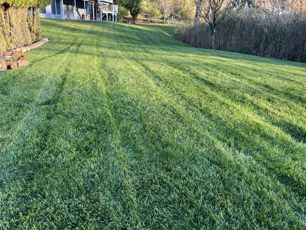 Top-rated lawn mowing service experts serving West New York, NJ - Lorena’s garden