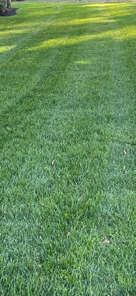 Expert outdoor landscaping near you across West New York, NJ - Lorena’s garden