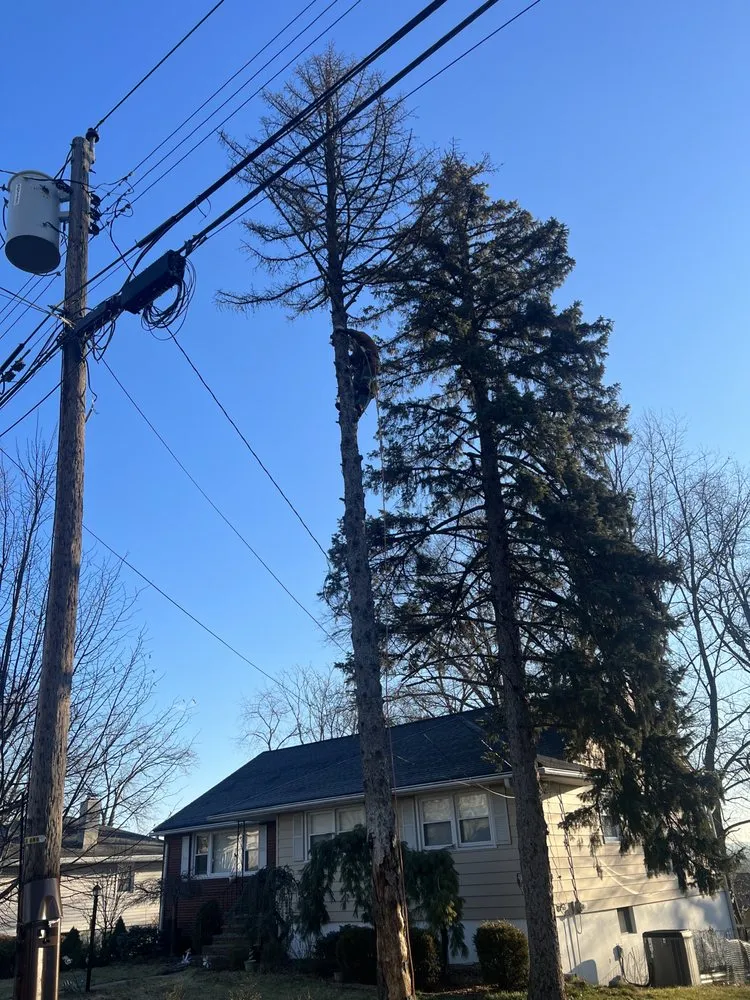 Local landscape design in West New York, NJ - Lorena’s garden