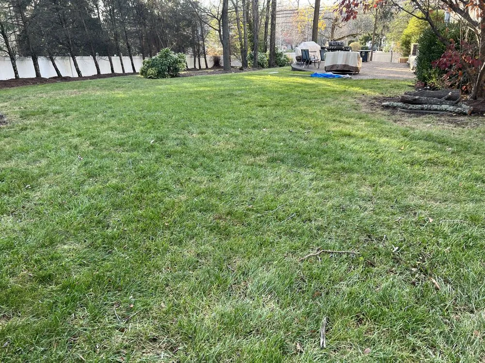 Professional residential landscaping experts serving West New York, NJ - Lorena’s garden