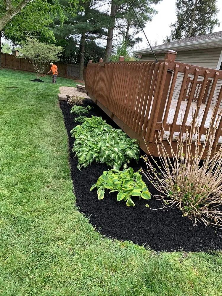 Reliable yard cleanup service experts serving Norwalk, OH - Lorence Landscaping