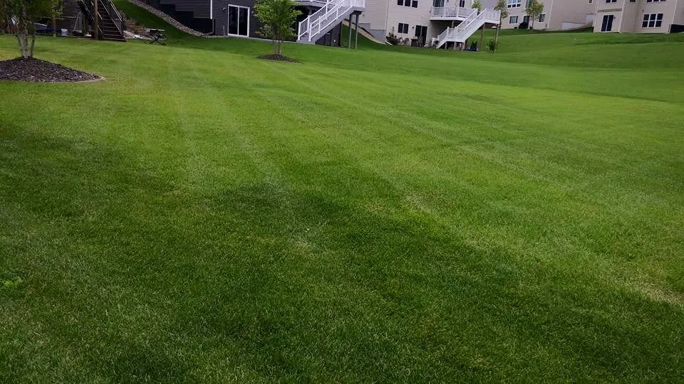 Top-rated lawn mowing service for homes in Shakopee, MN by Loren's Lawn & Landscape