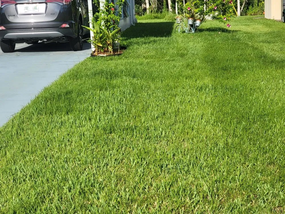 Local lawn care service near you across Tavares, FL - Loren's Lawn Care And Services