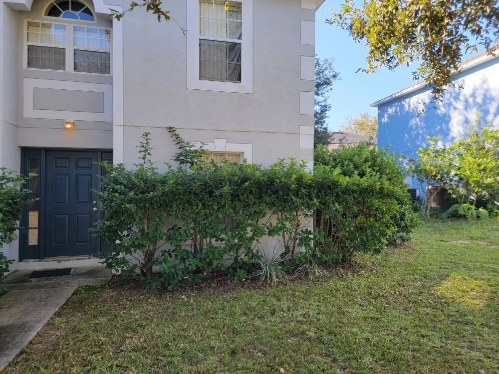 Affordable yard maintenance experts serving Tavares, FL - Loren's Lawn Care And Services