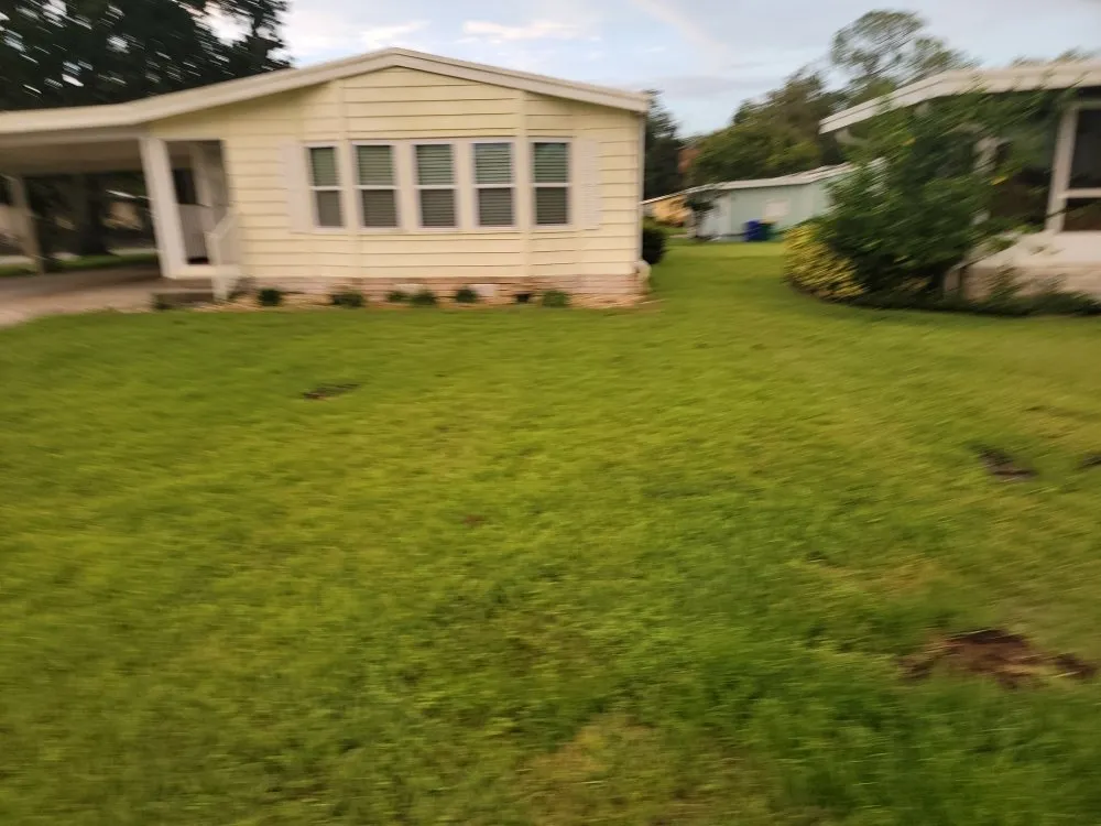 Reliable landscaping services in Tavares, FL - Loren's Lawn Care And Services